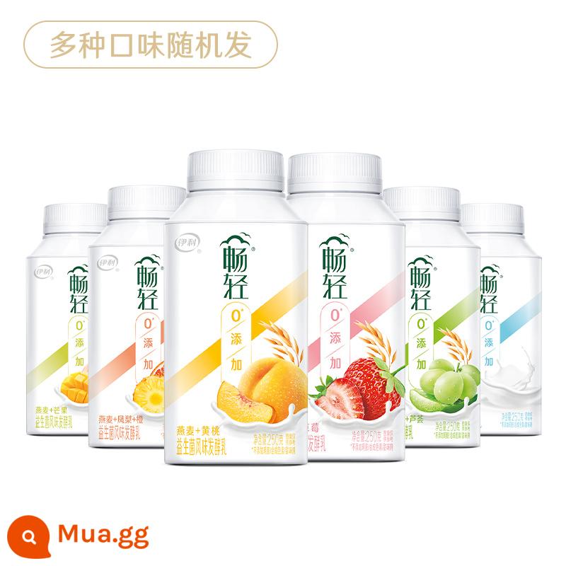 Sữa chua nhạt Yilichang 250g đóng chai hương vị men vi sinh sữa lên men vàng đào yến mạch sữa chua nhiệt độ thấp cả hộp - 9 chai hương vị được phân phối ngẫu nhiên