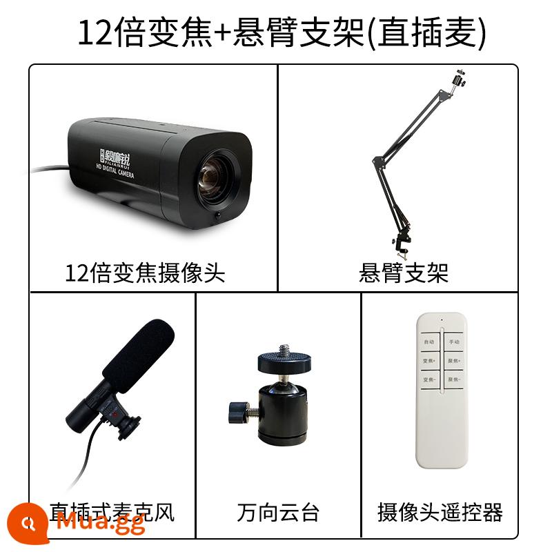 Yilianrui lấy nét tự động điều khiển từ xa zoom độ nét cao làm đẹp USB máy tính để bàn máy tính xách tay với máy ảnh giảng dạy thư pháp hội nghị truyền hình Màn hình dọc Taobao Douyin màn hình xanh với hàng hóa thiết bị phát sóng trực tiếp - Thu phóng 12x + micrô trực tiếp (giá đỡ đúc hẫng)