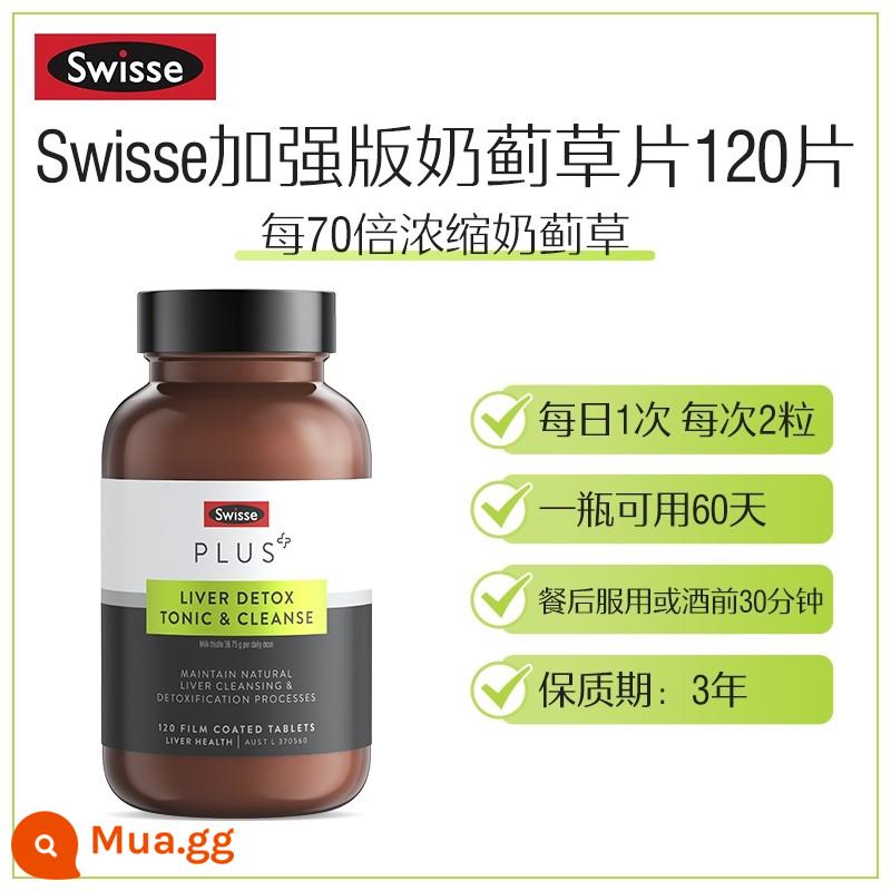 Úc Swisse Enhanced Milk Thistle Thảo Dược Bảo Vệ/Viên Gan Thức khuya và làm thêm giải tỏa nôn nao Thảo dược cô đặc 70 lần viên gan - màu vàng