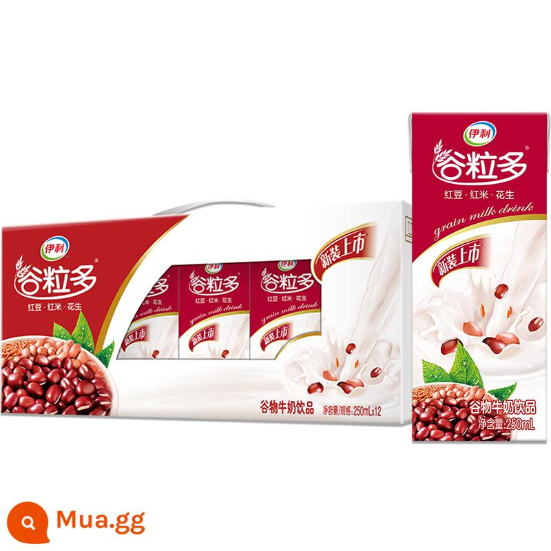 Sữa ngũ cốc ngũ cốc yến mạch óc chó ngũ cốc đa đỏ Yili 250ml*12 mẻ nguyên hộp cho bữa sáng đặc biệt - [Tháng 5] Hạt đỏ 250ml*12 hộp