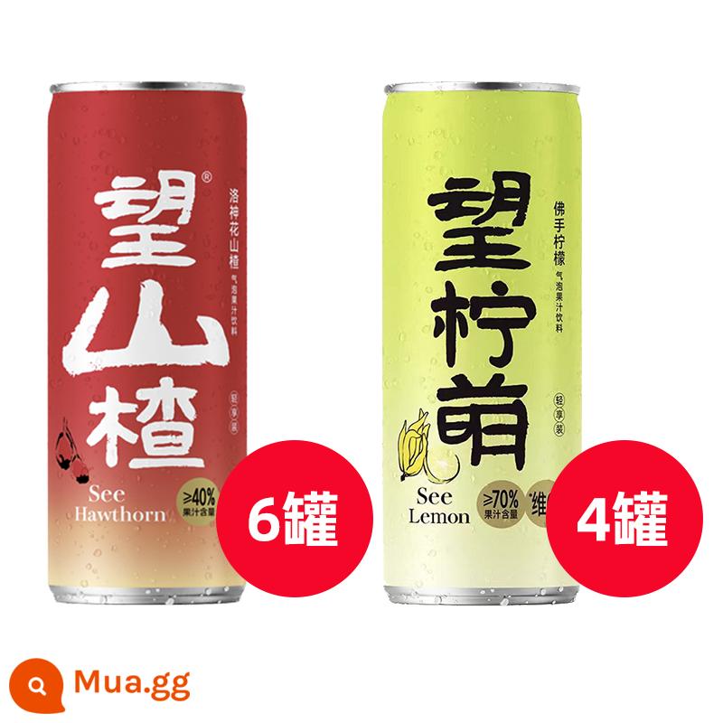 [Dành riêng cho khách hàng mới] Good Hope Water Hope Hawthorn Lemon Meng Juice đóng hộp Nước có ga Nước uống giải khát mùa hè - Vương táo gai*6+ Vương chanh+4 lon