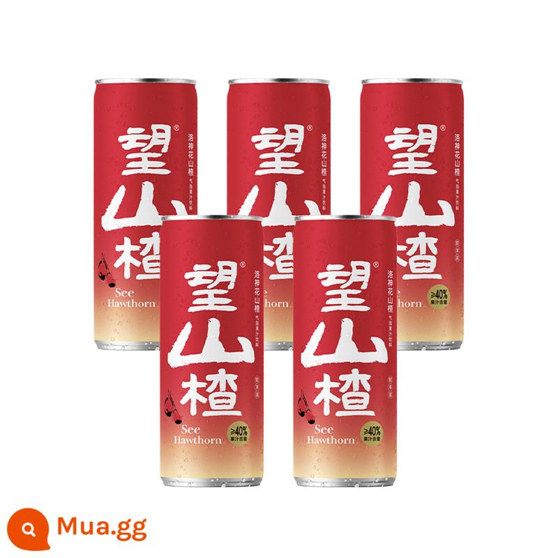 [Dành riêng cho khách hàng mới] Good Hope Water Hope Hawthorn Lemon Meng Juice đóng hộp Nước có ga Nước uống giải khát mùa hè - 5 lon táo gai