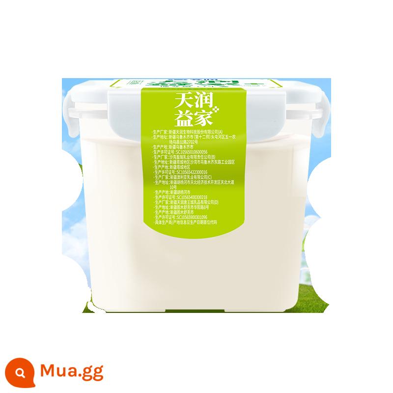 [SF Airlines] Sữa chua Tianrun Yijia Tân Cương 4 catties sữa chua xô lớn salad trái cây sữa chua già 2kg - [Chuyển phát nhanh thông thường] Hương vị nguyên bản 4 pound