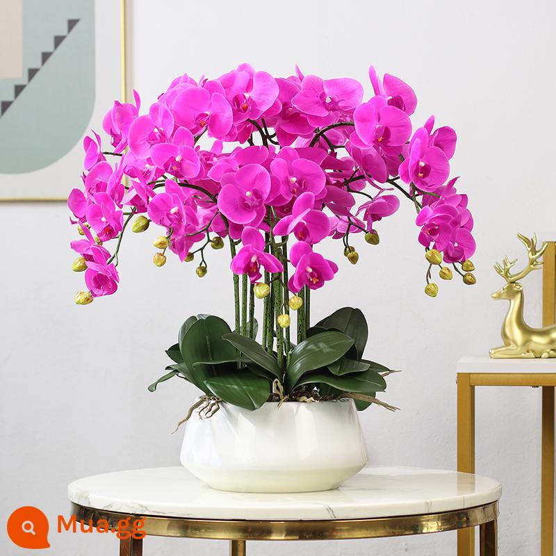 Hoa và giấc mơ lưu vực pu cảm thấy phalaenopsis mô phỏng hoa nghệ thuật phòng khách phòng cà phê tủ tv tủ trang trí hoa giả trang trí - Chậu trắng tím (8 nhánh)