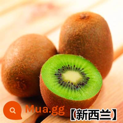 cây giống trái kiwi trái tim đỏ trái lớn bắc nam trồng chậu đất trái tim vàng mềm táo tàu trái kiwi cây trái cây giống năm đó kết quả - Cây giống 5 tuổi New Zealand ra quả cùng năm [mua một tặng một]