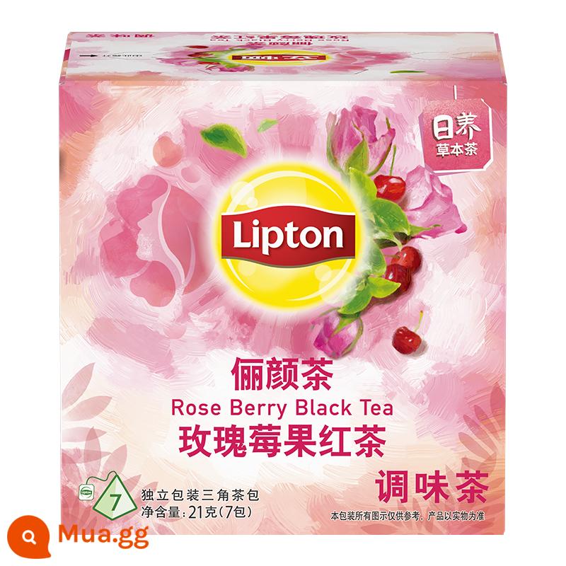 Trà đen Lipton 25 gói trà túi lọc đóng hộp trà bá tước xám trà đen trà xanh trà ô long trà sáng kiểu Anh trà túi lọc văn phòng - Trà Li Yan 7 túi*1 hộp [Tặng trà cho 2 hộp]