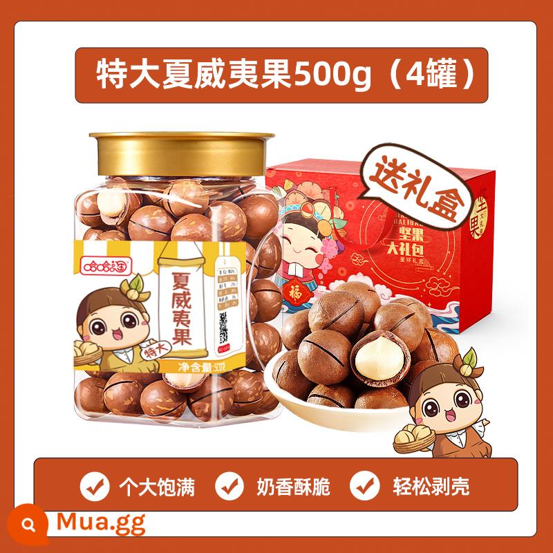 Hạt Macadamia hạt khô nguyên kem 500g hạt đóng hộp cho bà bầu cân catty snack hàng chiên hàng mới nguyên hộp sỉ - [Lựa chọn hạt cực lớn] Khối lượng tịnh 500gx4 lon (4 pound) [1 hộp quà bên ngoài]