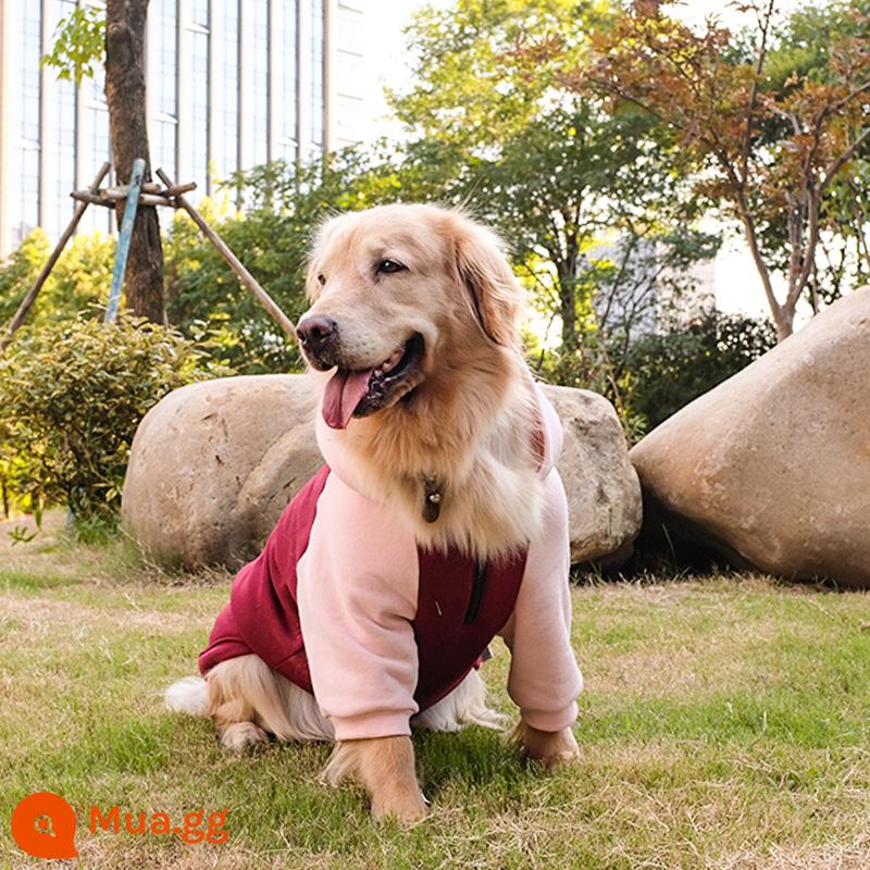 Quần áo cho chó lớn mùa xuân và mùa thu chống rụng lông Samoyed Labrador cho chó trung bình chó con lớn Golden Retriever quần áo mùa thu và mùa đông - (Spring plus lông cừu) áo hoodie màu hồng hạt dẻ