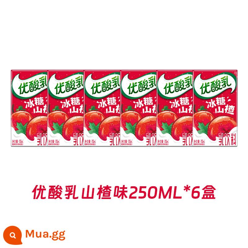 Tháng 12, Yogurt Yili Youyaourt Original Flavour 250ml*24 hộp full box sữa chua uống dành cho bữa sáng của học sinh, sinh viên ưu đãi đặc biệt miễn phí vận chuyển - [Người dùng sớm số lượng lớn] 250ml*6 hộp hương táo gai