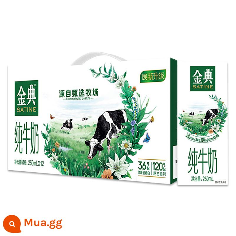 Hàng mới về vào tháng 11 Sữa nguyên chất Yili Jindian 250ml * 12 hộp/hộp đầy đủ sữa ăn sáng dinh dưỡng dành cho người lớn dành cho học sinh - [Hàng mới về tháng 12] Sữa nguyên chất Jindian 250ml*12 hộp