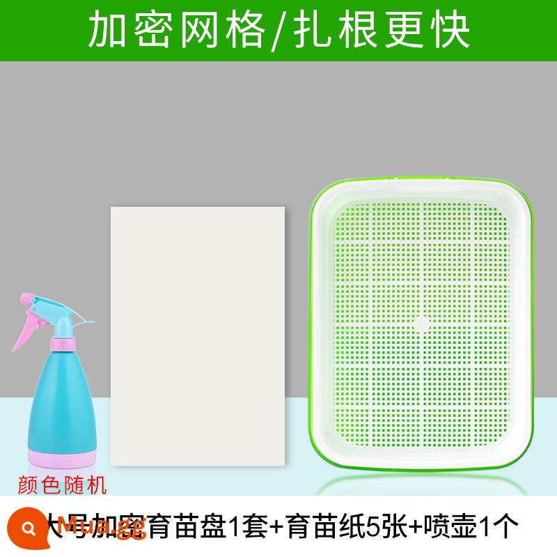 Đĩa ươm mầm rau thủy canh hộp tóc đậu phộng giá đỗ chậu đặc biệt trồng không cần đất trồng rau giá đỗ nảy mầm trồng trong chậu - 1 bộ giấy đựng ươm/giấy ươm cây lớn