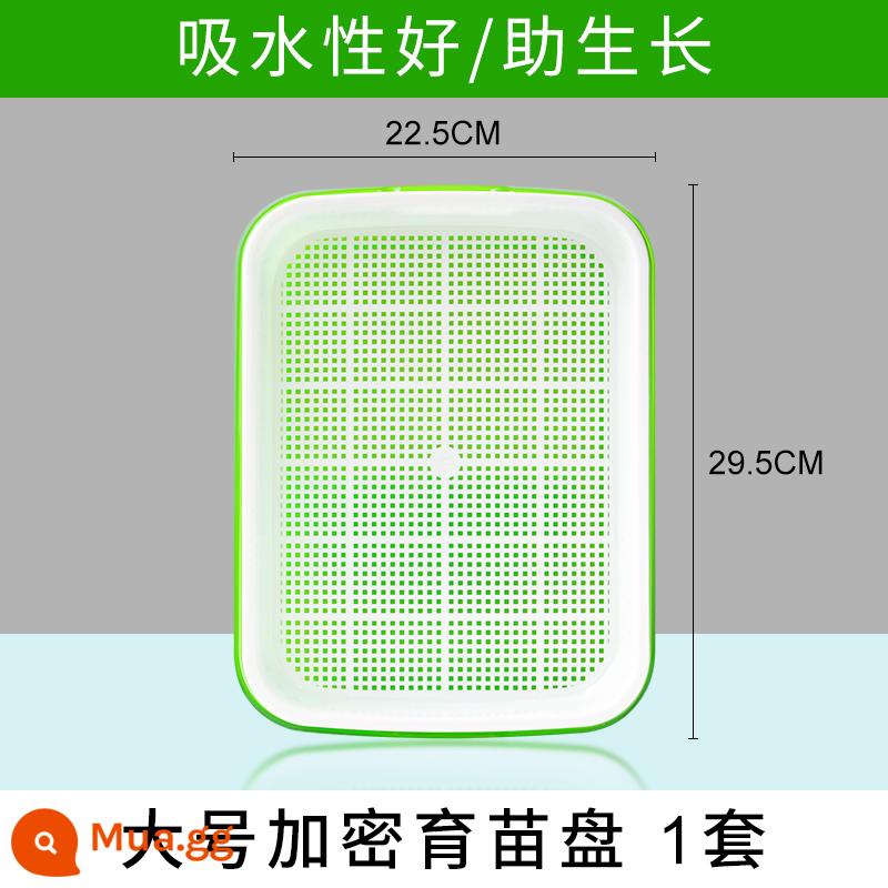 Đĩa ươm mầm rau thủy canh hộp tóc đậu phộng giá đỗ chậu đặc biệt trồng không cần đất trồng rau giá đỗ nảy mầm trồng trong chậu - Khay ươm mã hóa lớn 1 bộ