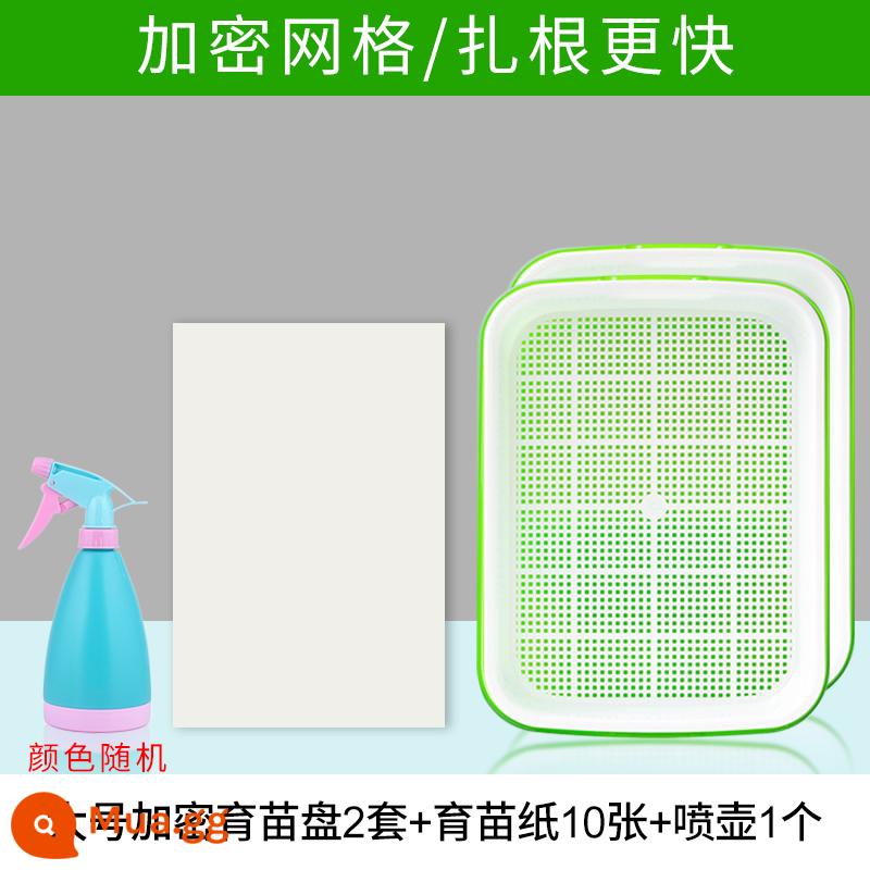 Đĩa ươm mầm rau thủy canh hộp tóc đậu phộng giá đỗ chậu đặc biệt trồng không cần đất trồng rau giá đỗ nảy mầm trồng trong chậu - 2 bộ khay ươm lớn-giấy ươm/bình tưới nước