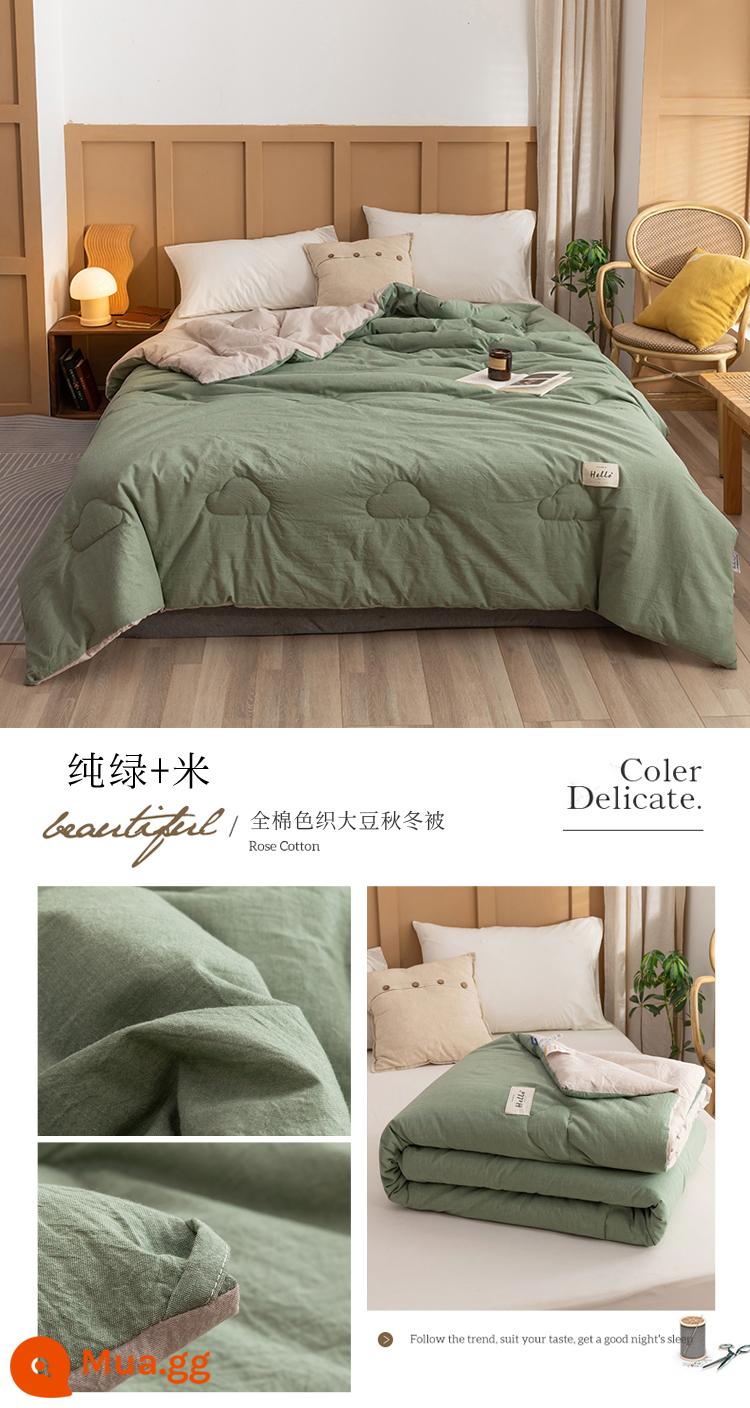 MUJI cotton sợi đậu nành chần bông mùa đông chăn dày dặn ấm áp chăn bông xuân thu lõi chăn điều hòa không khí chăn đơn đôi - Xanh + gạo nguyên chất