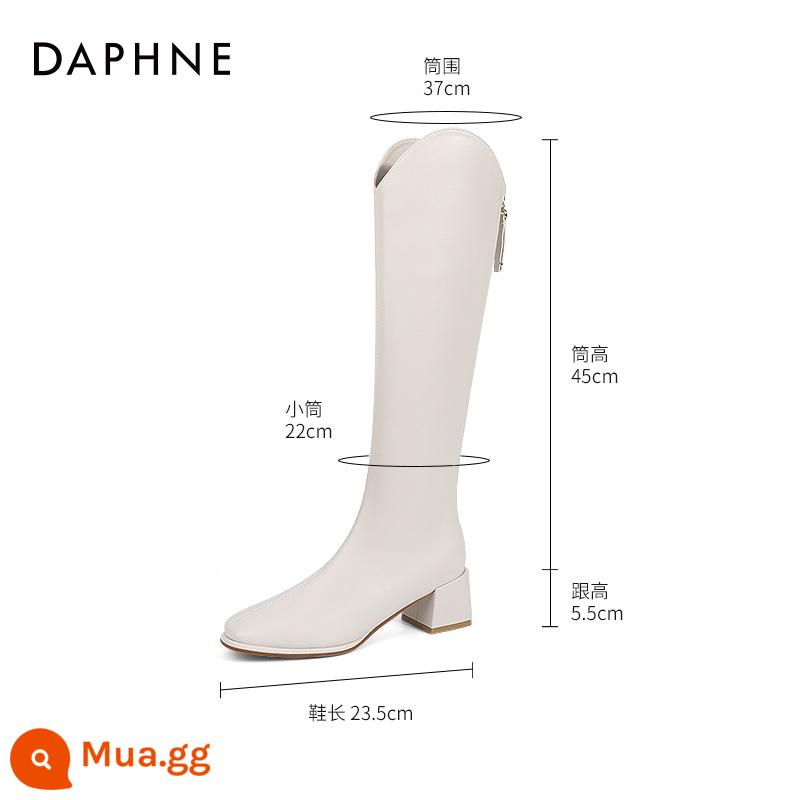 Daphne Boot Nữ Đi Giày 2022 Mũi Nhọn Giày Nữ Mùa Thu Đông Miệng Chữ V Tây Plus Nhung Cao Gót giày Bốt Nữ - Be