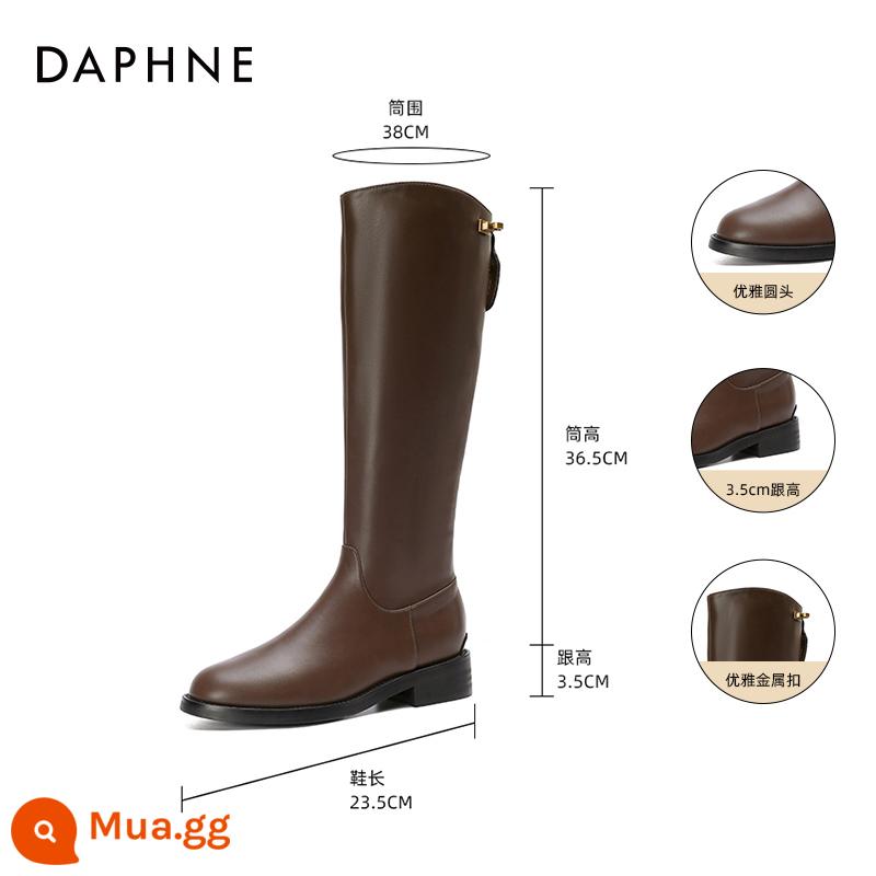 Giày cao cổ Daphne Brown Giày bốt đi xe đạp nữ Thu Đông 2023 Giày cao cổ mới Giày nữ Giày bốt dài Giày bốt nữ - [Lớp lót đơn] Khóa vàng nâu