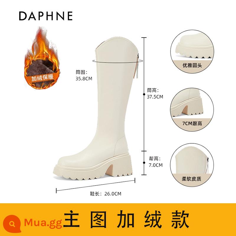 Giày bốt ngắn Daphne cho nữ 2023 giày mới dành cho nữ trong mùa thu đông Giày bốt Martin màu đen đa năng Giày bốt Chelsea kiểu Pháp dành cho nữ - Trắng [Giày cao gót 7CM và kiểu nhung cao cấp]