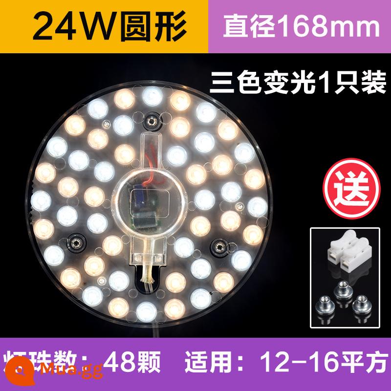 Đèn LED Ốp Trần Bấc Tròn Siêu Sáng Chuyển Đổi Nguồn Sáng Thay Thế Phòng Ngủ Bấc Đèn Bảng Tiết Kiệm Năng Lượng Đèn Vòng Mô Đun - Đèn highlight tròn 24W + ba màu