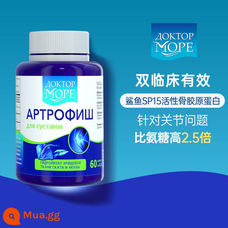 Thuốc bôi nhập khẩu của Nga sụn khớp aminoglucose chondroitin khớp gối dán keo xương tăng cường sức mạnh xương - Uống collagen cá mập (tinh thần khớp)