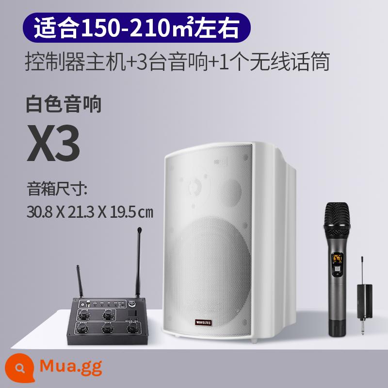 Âm thanh không dây treo tường Loa Bluetooth dành riêng cho cửa hàng bao quanh phòng ăn thanh thương mại phòng khiêu vũ phòng hội nghị - Bộ điều khiển nâng cấp + 3 loa trắng + 1 micro không dây