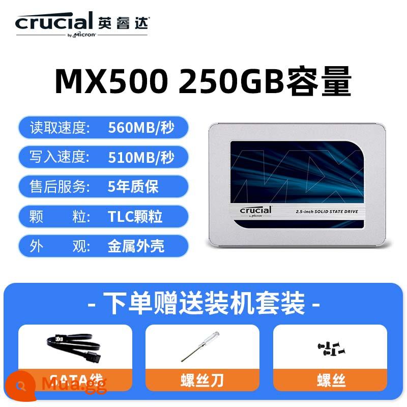 Inruida flagship store MX500 ổ cứng thể rắn 1T notebook máy tính để bàn ổ cứng sata 500G Micron - Ổ cứng thể rắn MX500-250G