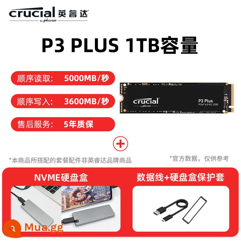 Ổ cứng thể rắn Inruida P3 giao diện m2 1t 500g SSD máy tính xách tay nvme máy tính để bàn ổ cứng trò chơi - Giao diện P3P 1T M2 + hộp ổ cứng di động