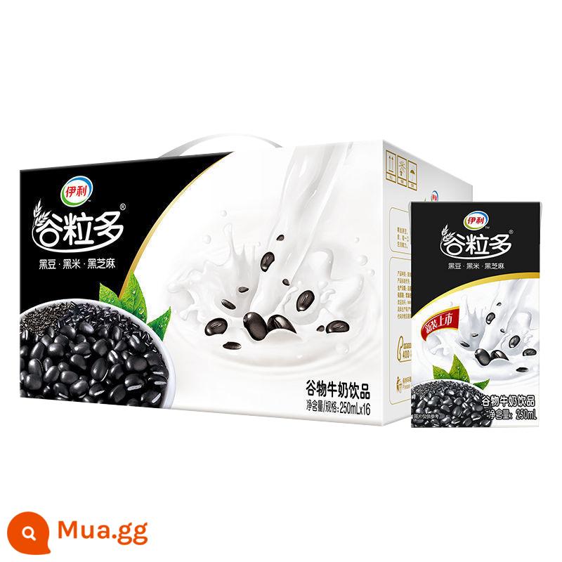 Sản xuất tháng 12 Yili ngũ cốc nhiều sữa thung lũng đỏ thung lũng đen hương vị đậu đỏ yến mạch sữa 250ml * 12 hộp 16 hộp - [Sản xuất vào tháng 12] Hạt đen giàu hạt 250ml*16