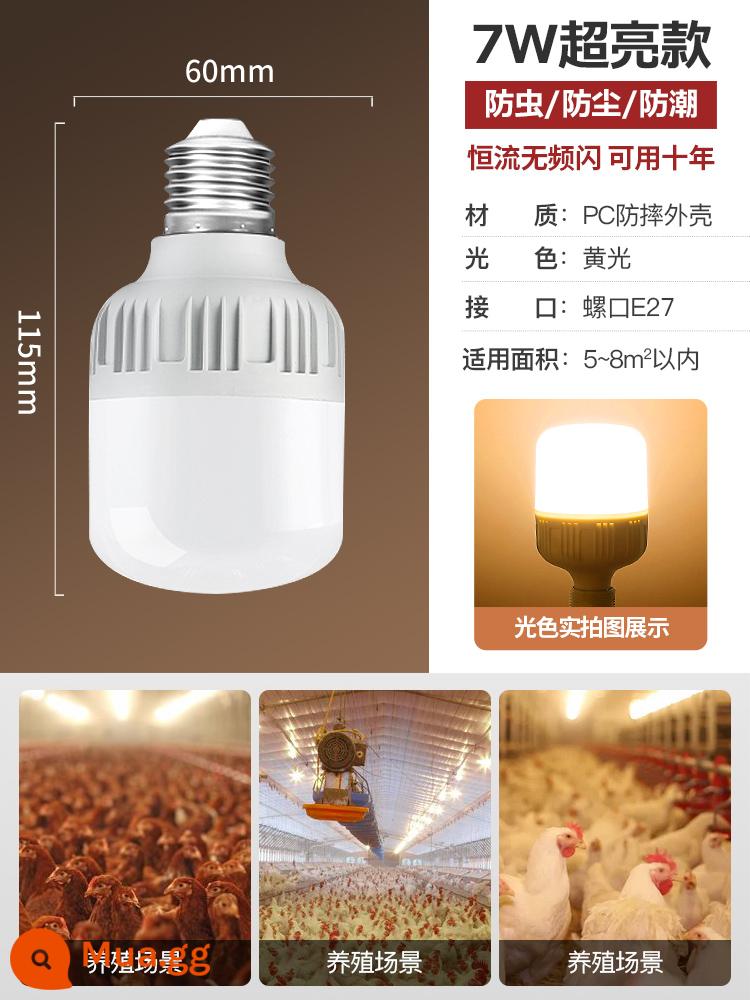 Đèn chiếu sáng dành riêng cho trang trại Đèn LED ánh sáng ấm áp e27 ren vít ánh sáng vàng trang trại gà điền vào bóng đèn tiết kiệm năng lượng - Dòng điện siêu sáng không đổi model-Đèn ấm 7W-Cổng vít E27