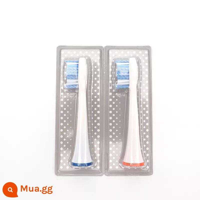 Thay thế đầu bàn chải đánh răng điện đa năng 360T1 sonic / Changhong teethclean / ORACLEEN puppy y1 - Tặng kèm 2 hộp đựng bàn chải đánh răng mẫu đặc biệt