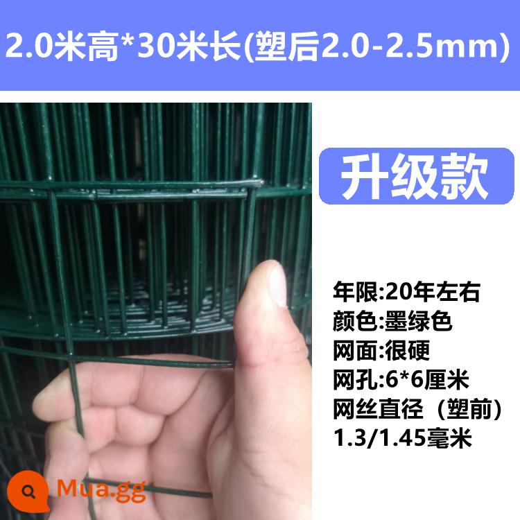 Hàng rào dây thép gai chăn nuôi gà lưới bảo vệ hàng rào lan can ngoài trời dây thép Hà Lan lưới sắt lưới nhà vườn rau - đen