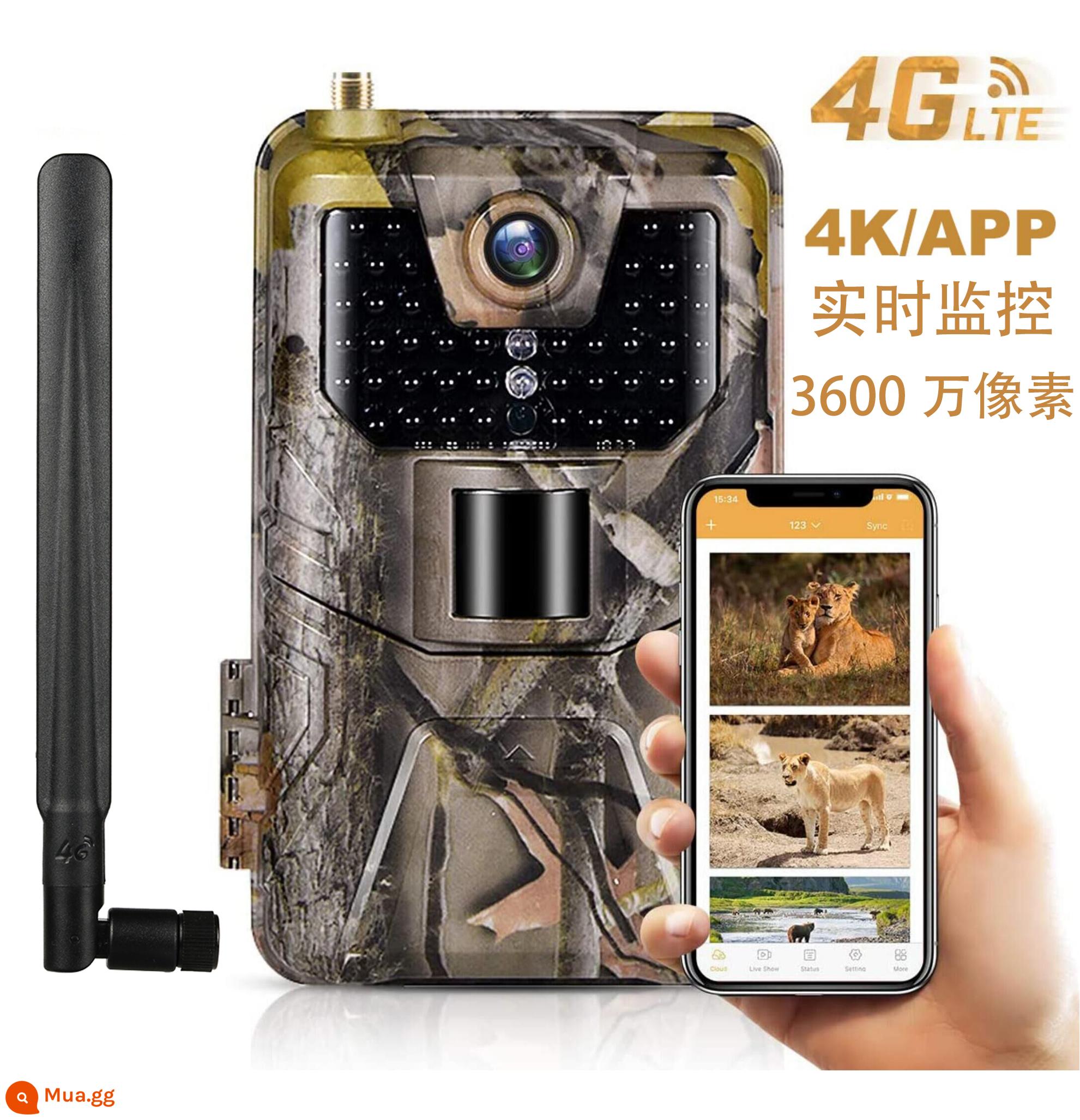 Camera cảm biến hồng ngoại 4G ngoài trời an ninh công trường xây dựng trường chống trộm camera động vật điện thoại di động camera giám sát từ xa - Giám sát thời gian thực 4G (với pin sạc AA)