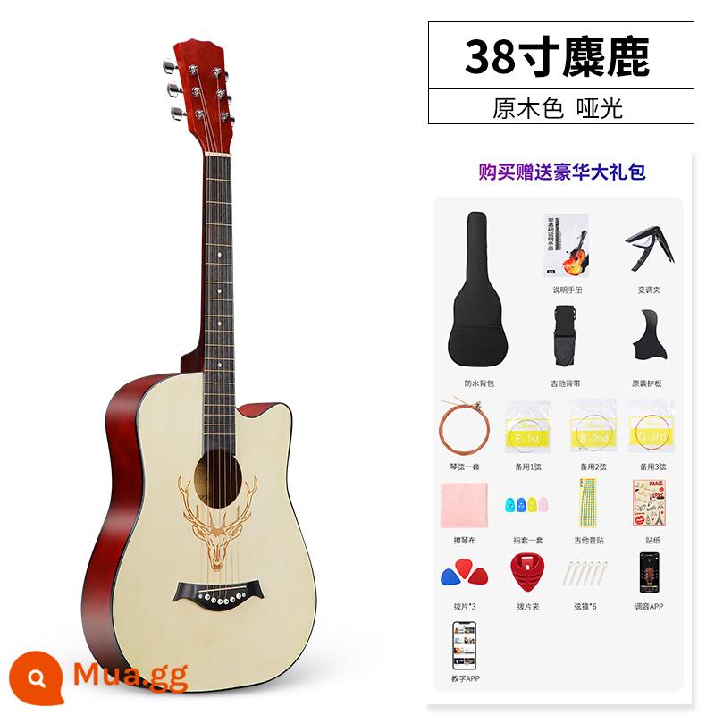 Đàn guitar đơn dành cho người mới bắt đầu bằng gỗ vân sam có giá trị cao dành cho nam và nữ 41 inch 38 dành riêng cho học sinh và trẻ em tự học - 38 inch-nai sừng tấm-log màu+gói quà tặng