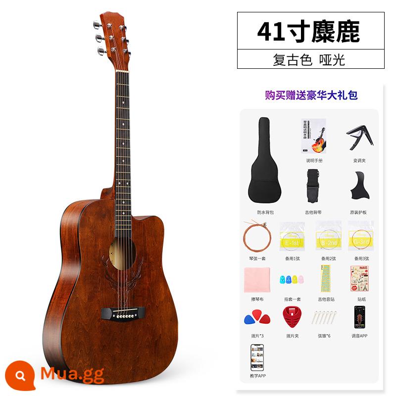 Đàn guitar đơn dành cho người mới bắt đầu bằng gỗ vân sam có giá trị cao dành cho nam và nữ 41 inch 38 dành riêng cho học sinh và trẻ em tự học - 41 inch-Cà phê Elk-Ink + Gói quà tặng