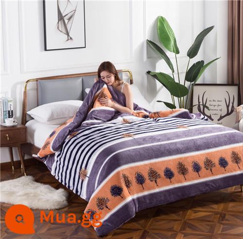 Vỏ chăn mùa đông lông cừu san hô Vỏ chăn đơn mảnh Plus nhung dày nhung 2 mặt 150x200x230 flannel vỏ chăn lõi - cây sọc