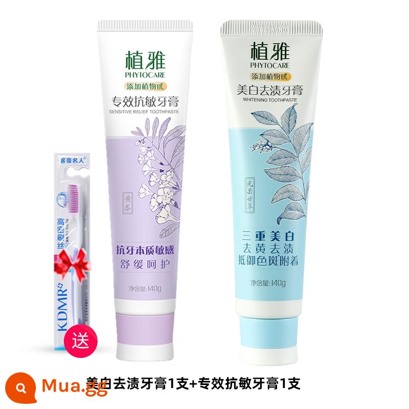 Trang web chính thức của Kem đánh răng Infinitus Phytoya Người sáng lập No Limit Tartar Brightening Kem đánh răng Infinitus Cửa hàng hàng đầu dành cho nam và nữ - 1 tuýp tẩy trắng và tẩy vết ố + 1 tuýp trị dị ứng