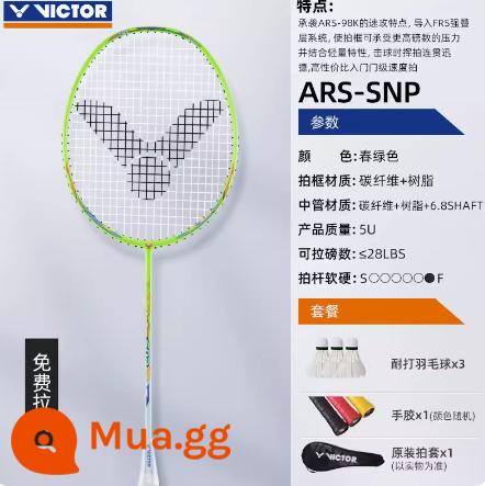 Shengli cầu lông vợt chính hãng chính hãng Bhramid Ultra -light Victor Full Carbon Badminton Single 4u Chuyên nghiệp Line - [Bắn tỉa] ARS-SNP 4U màu xanh huỳnh quang [Gel tay + vỏ chụp]