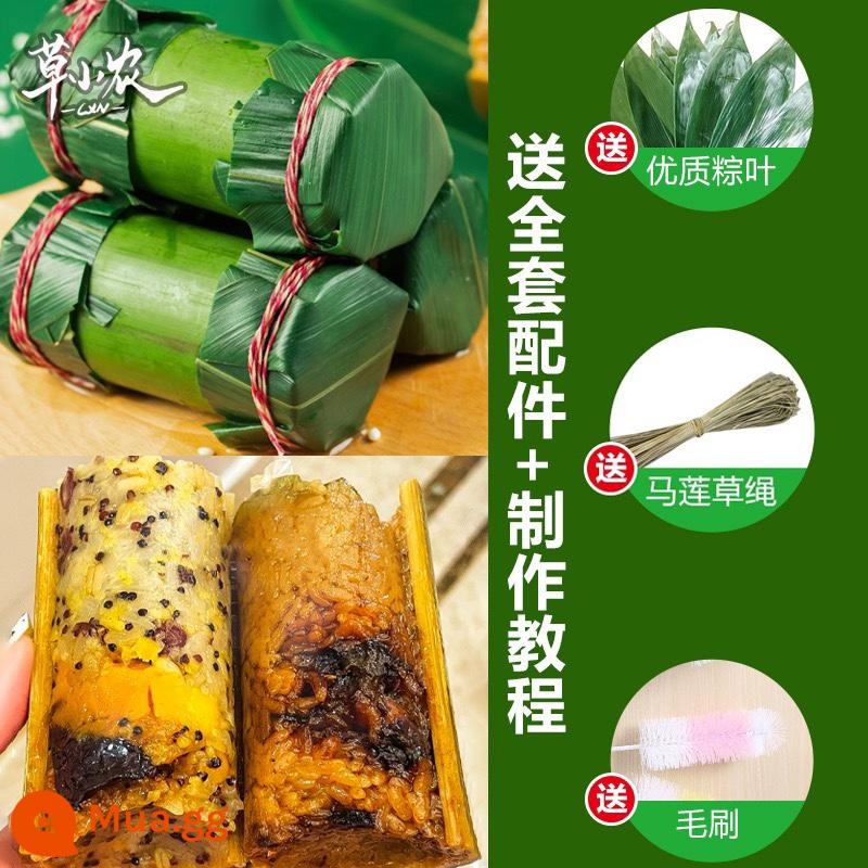 Bánh bao ống tre tươi khuôn chia bánh bao ống tre gói bánh bao ống tre nhà làm bánh bao ống tre thương mại chuyên dụng - 10 mẫu chia tách] đường kính ngoài 5 ~ 5,5cm