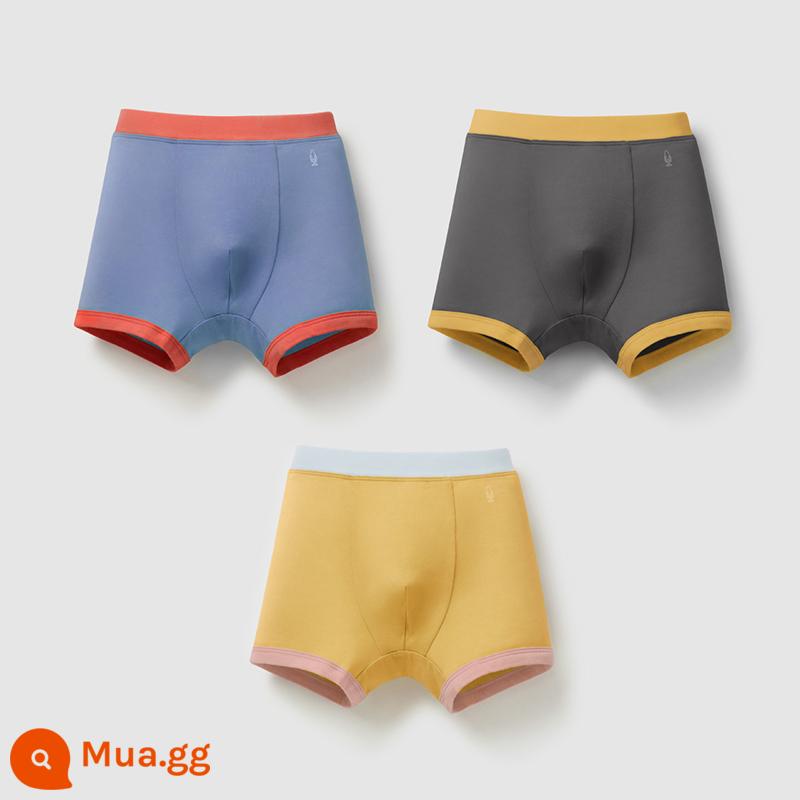 Chuối Quần Lót Trẻ Em 355C Cotton Kháng Khuẩn Boxer Quần Lót Bé Trai Màu Sắc Tương Phản Quần Lót Tam Giác Nữ 3 Cái - [Góc nam] Xanh tuyết + xám carbon + màu thêu