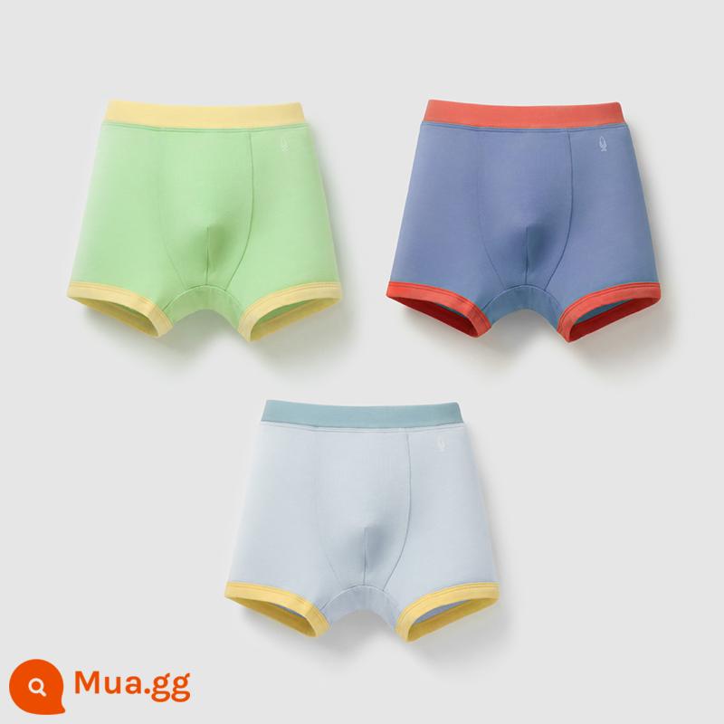 Chuối Quần Lót Trẻ Em 355C Cotton Kháng Khuẩn Boxer Quần Lót Bé Trai Màu Sắc Tương Phản Quần Lót Tam Giác Nữ 3 Cái - [Góc nam] Xanh trái cây + xanh muối biển + xanh tuyết