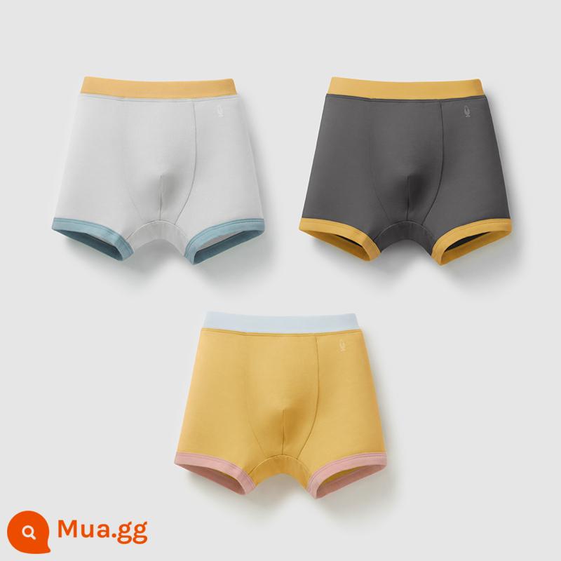 Chuối Quần Lót Trẻ Em 355C Cotton Kháng Khuẩn Boxer Quần Lót Bé Trai Màu Sắc Tương Phản Quần Lót Tam Giác Nữ 3 Cái - [Góc nam] Xám nhạt + xám carbon + màu thêu