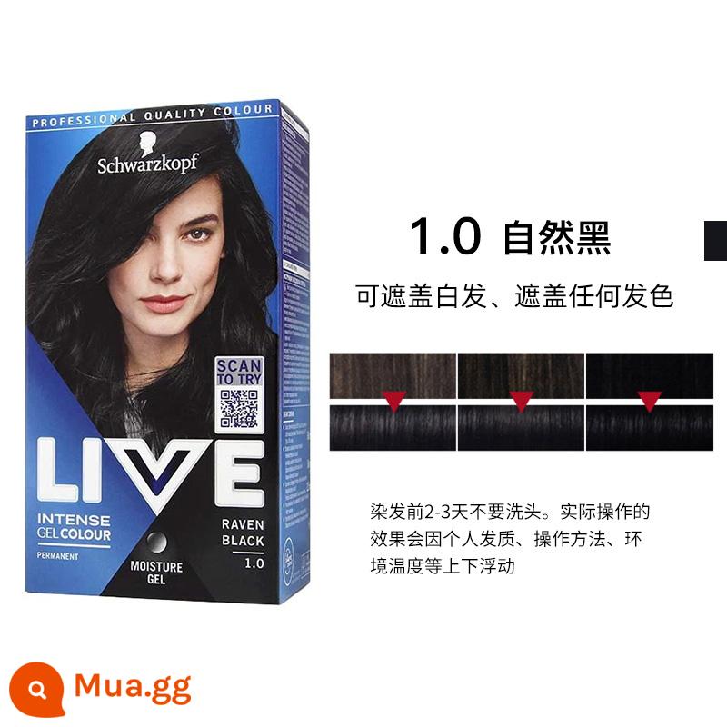 Thuốc nhuộm tóc Schwarzkopf live happy bubble thuốc nhuộm tóc trà đen nguyên chất dịu nhẹ và không gây kích ứng tóc tại nhà - Màu đen tự nhiên 1.0