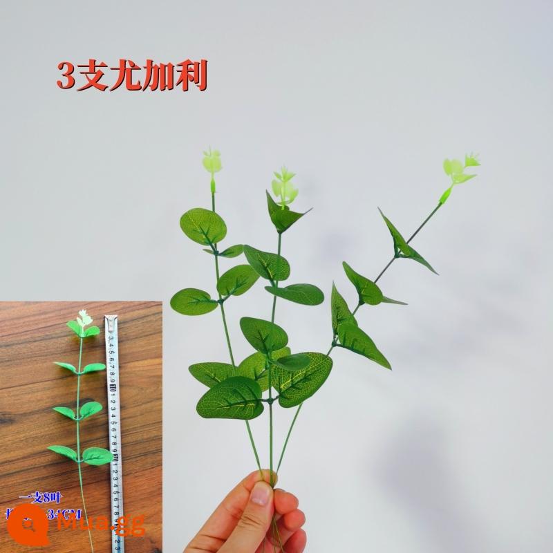 Mô Phỏng Hoa Hồng Trang Trí Lễ Tình Nhân Tặng Nhung Nhân Tạo Hoa Giả Hoa Phòng Khách Trang Trí Hoa Handmade Nghệ Thuật - 3 cây bạch đàn đơn [cao 32cm, 8 lá]