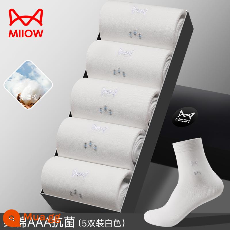 Tất Catman Nam Xuân Thu Cotton Nguyên Chất Ống Dài Chống Mùi Hôi Và Thấm Hút Mồ Hôi Tất Nam Giữa Ống Kháng Khuẩn Tất Dài Công Sở - [Thêu phong cách giản dị] [Chất khử mùi cotton nguyên chất] Trắng * 5