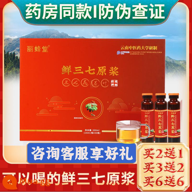 Đích thực Vân Nam Wenshan tươi Panax notoginseng Tinh chất uống Chất lỏng tươi Toàn bộ nguyên sinh thực vật Panax notoginseng Hoa Golden Seven Fresh Shangzhen với cùng một phong cách - [Mua sáu tặng sáu] 12 hộp gói giá trị