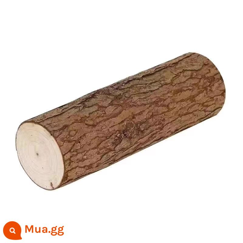 Trang trí tân gia, bố trí nhà mới, củi may mắn, đồ dùng lễ chuyển nhà, củi phòng khách - [4-6cm] tận tình [1 cái] + ruy băng không chữ