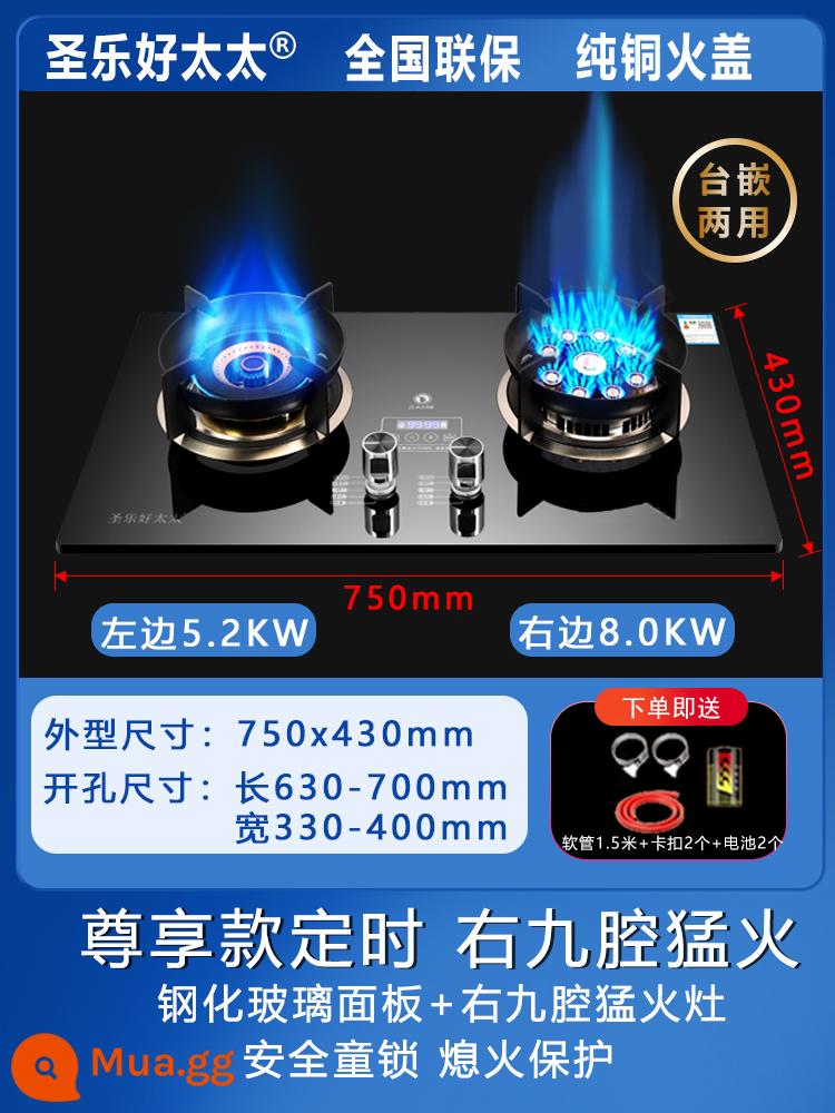 Bếp gas đôi cổng gas gia dụng bếp gas Shenglehao gas hóa lỏng bếp gas gia dụng - Model độc quyền với chín buồng bên phải + model hẹn giờ + tấm kính + bảo vệ chống cháy