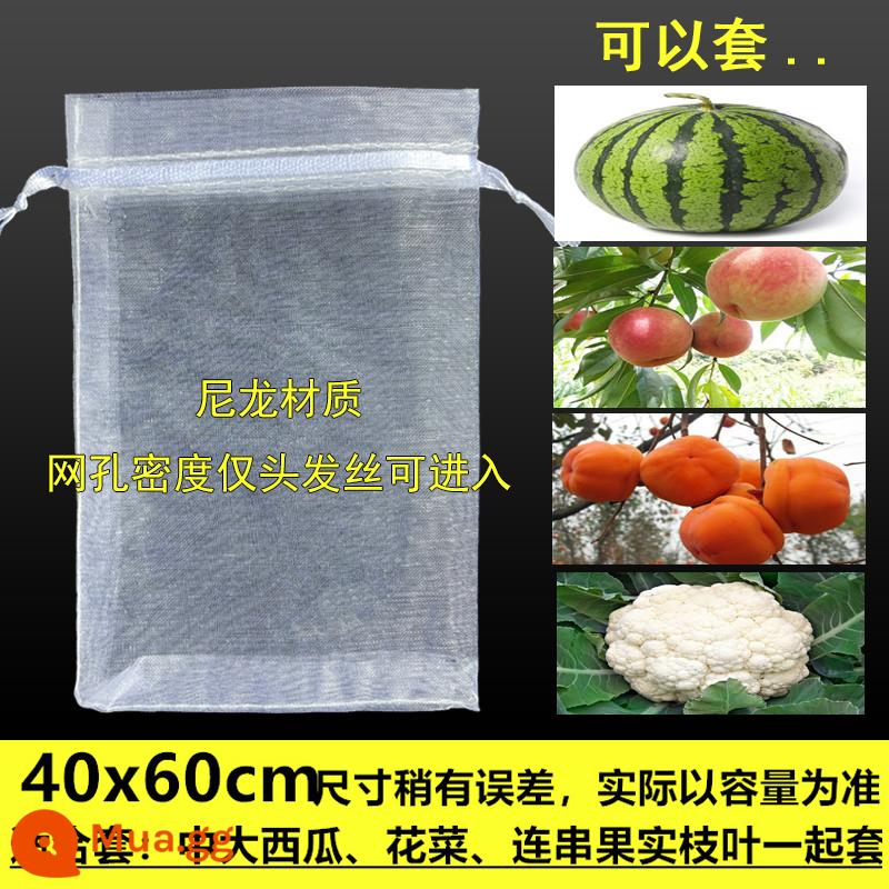 cây ăn quả chống côn trùng túi gạc chống chim bảo vệ túi nho vả ổi cao lương dâu xoài đào đóng túi - 10 miếng 40x60cm (dưa hấu vừa và lớn, sầu riêng, lúa miến, pipa, sơ ri, sung