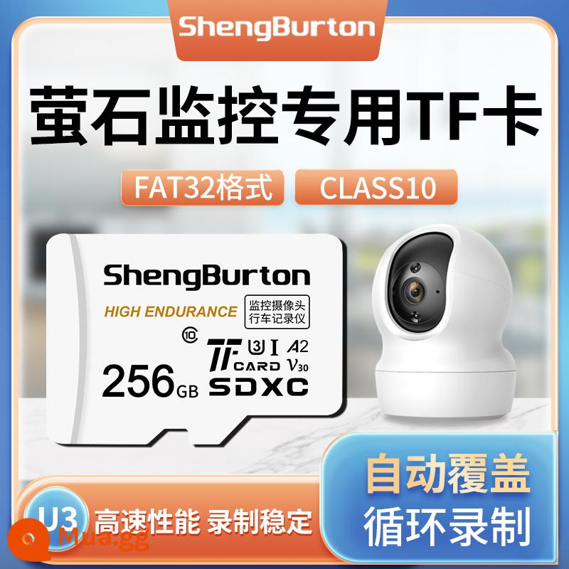 Bộ nhớ ống kính chụp ảnh giám sát Fluorite thẻ chuyên dụng Thẻ nhớ trong 32G thẻ nhớ tf thẻ nhớ C6CN/C2C/CP1 05 - Thẻ nhớ giám sát EZVIZ [②⑤⑥G] (có thể ghi theo chu kỳ trong 20~25 ngày)