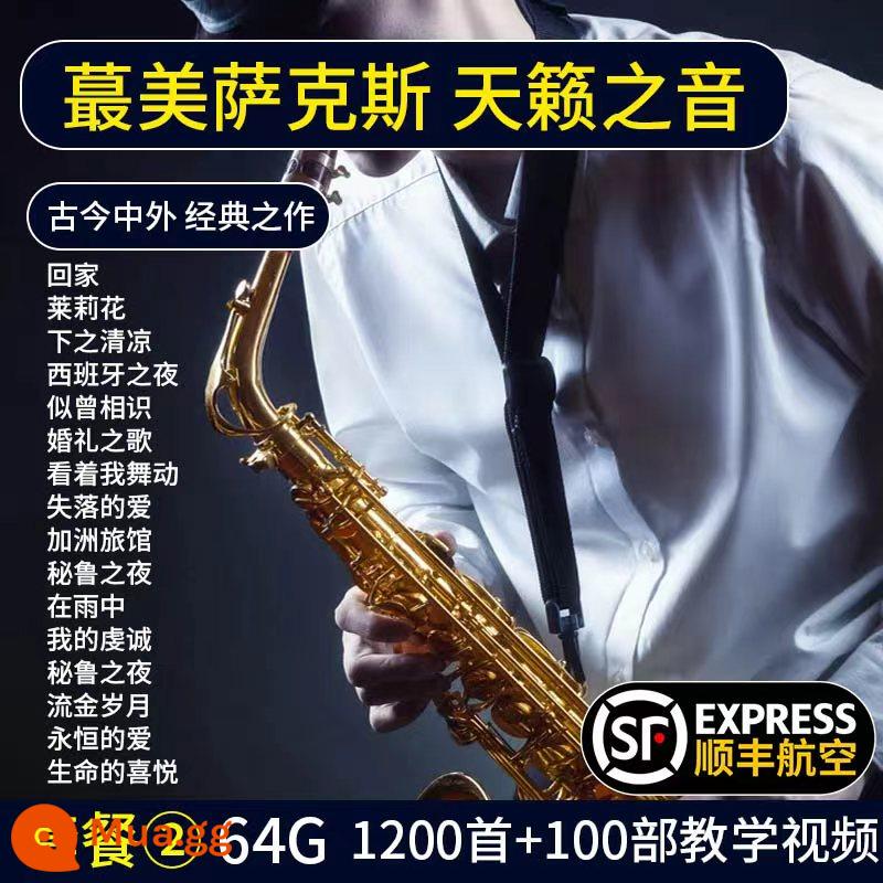 Nhạc nhẹ saxophone ổ đĩa flash trên ô tô âm nhạc nổi tiếng thế giới cổ điển các bài hát nhạc trong sáng không bị biến dạng ổ đĩa flash USB giảng dạy chất lượng cao - Gói 2 cải thiện chất lượng âm thanh lên 100 lần (1200 bản saxophone kinh điển + 100 hướng dẫn)