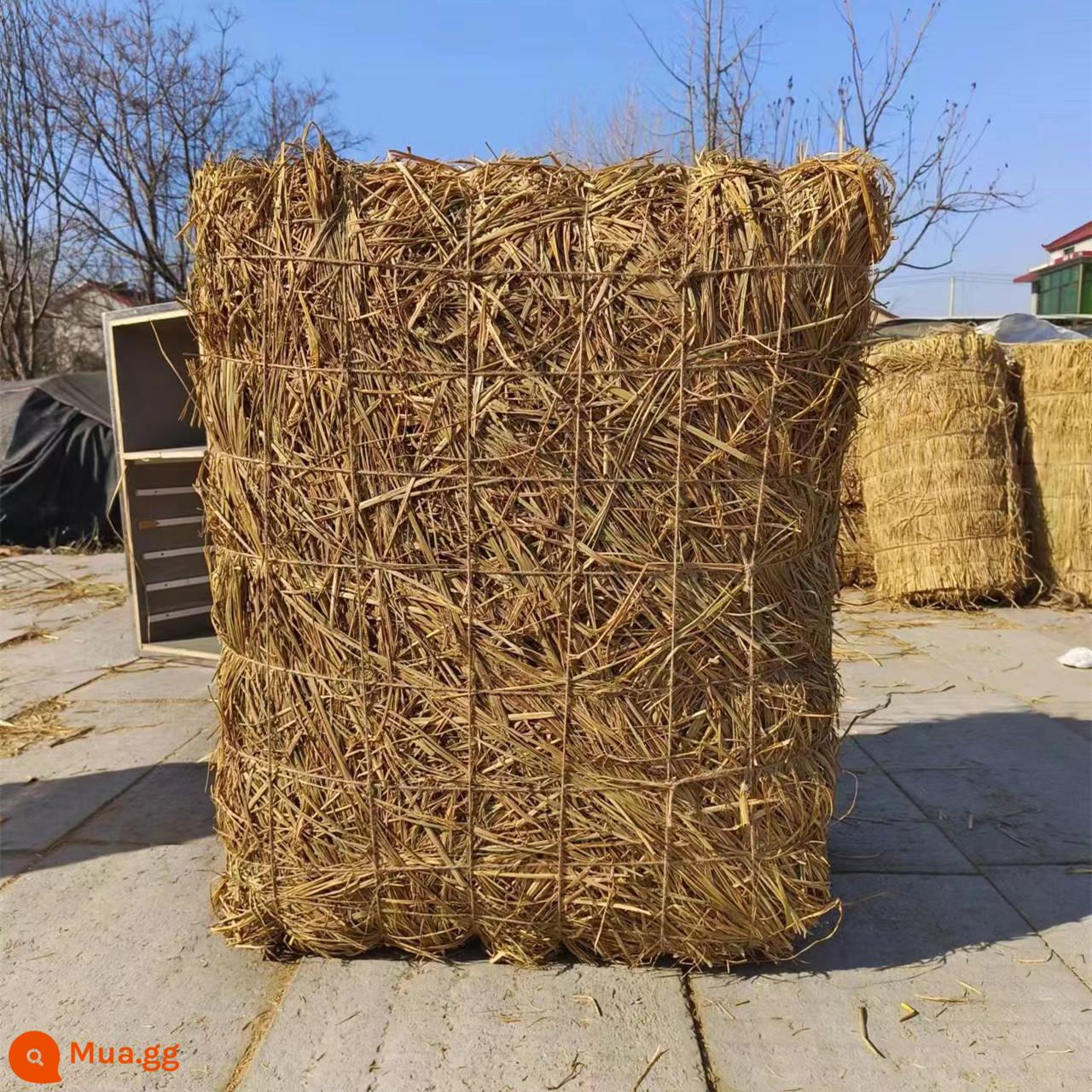 Haystack cỏ gò vuông tròn haystack giải trí trang trại rơm trang trí đống cỏ khô phân chụp đạo cụ rơm khô - Hình vuông cực lớn 100*80*60 [dài rộng cao] cm